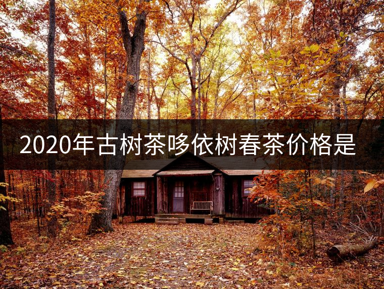 2020年古樹茶哆依樹春茶價格是多少？