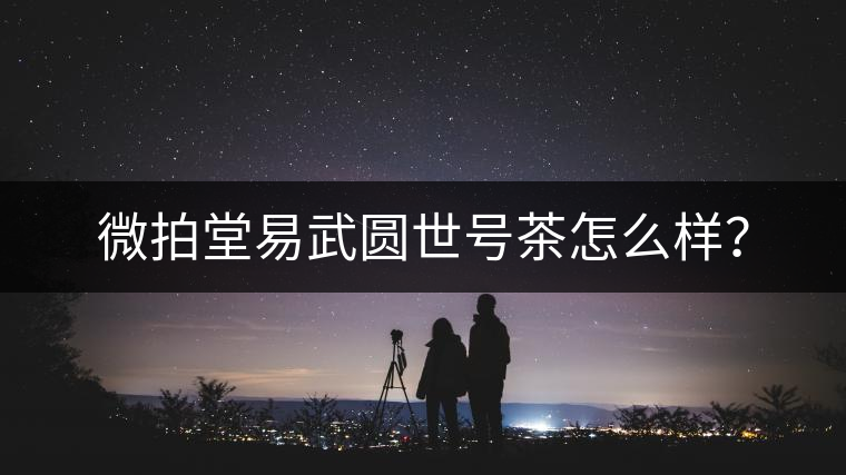 微拍堂易武圓世號茶怎么樣？