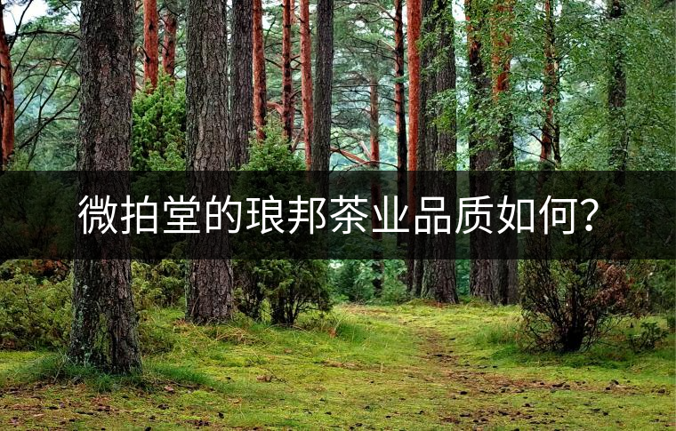 微拍堂的瑯邦茶業(yè)品質(zhì)如何？