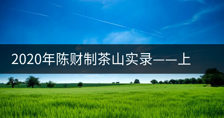 2020年陳財(cái)制茶山實(shí)錄——上貢車?yán)镄扛哪强? alt=