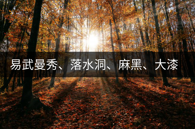 易武曼秀、落水洞、麻黑、大漆樹等你更喜歡哪個茶？