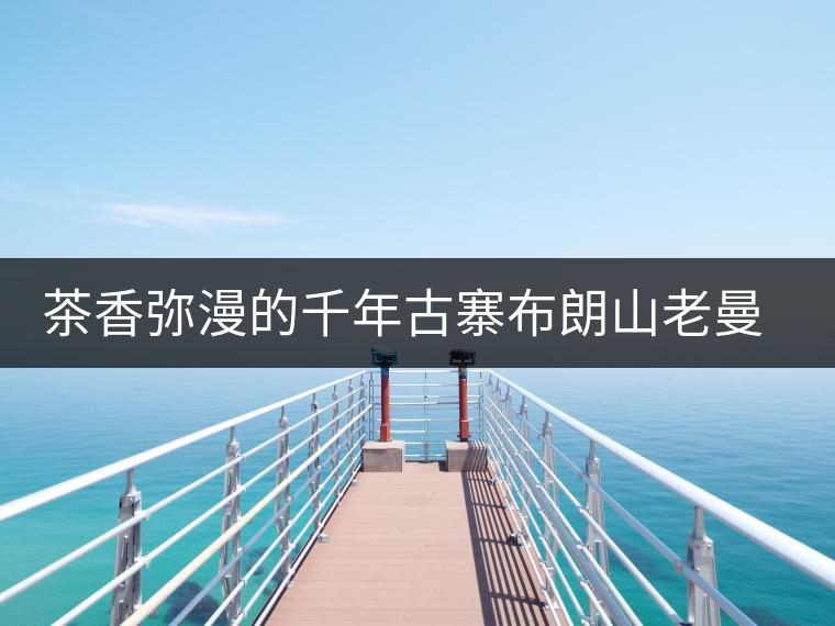 茶香彌漫的千年古寨布朗山老曼峨 茶香彌漫的千年古寨布朗山老曼峨
