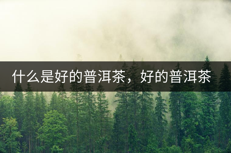什么是好的普洱茶，好的普洱茶必須要有好的工藝！