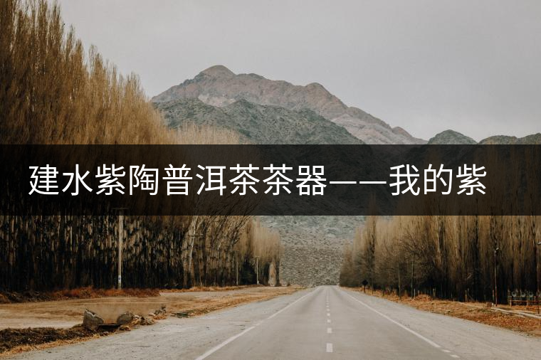 建水紫陶普洱茶茶器——我的紫陶收藏經(jīng)歷 建水紫陶普洱茶茶器——我的紫陶收藏經(jīng)歷