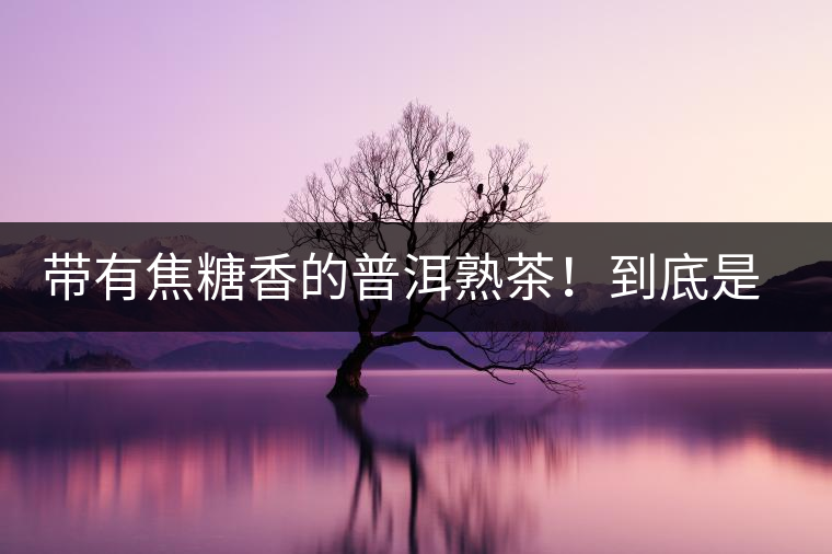 帶有焦糖香的普洱熟茶！到底是好是壞？