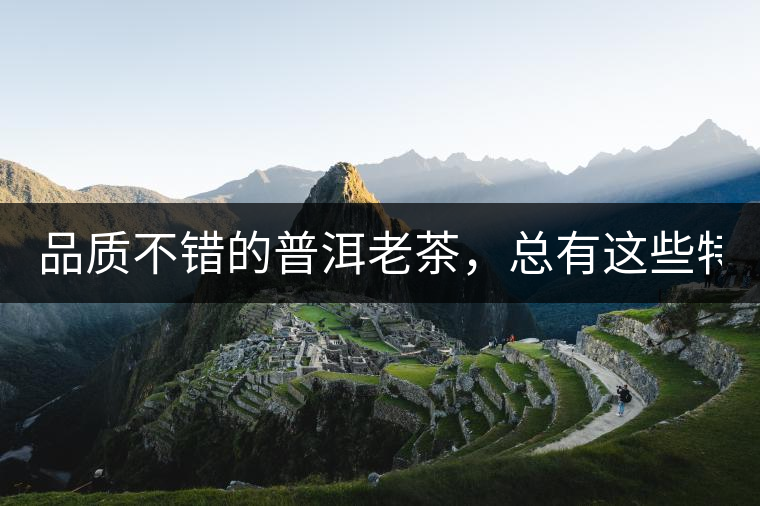 品質不錯的普洱老茶，總有這些特點！