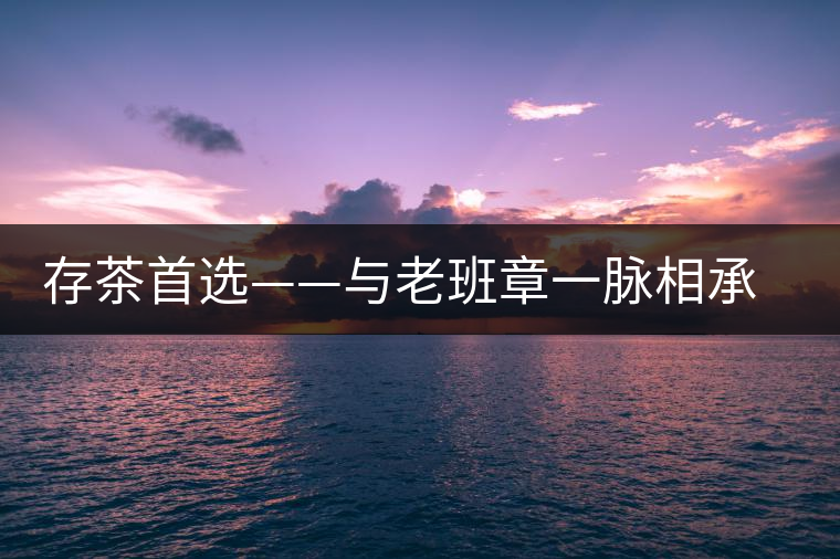 存茶首選——與老班章一脈相承的帕真古樹茶 存茶首選——與老班章一脈相承的帕真古樹茶