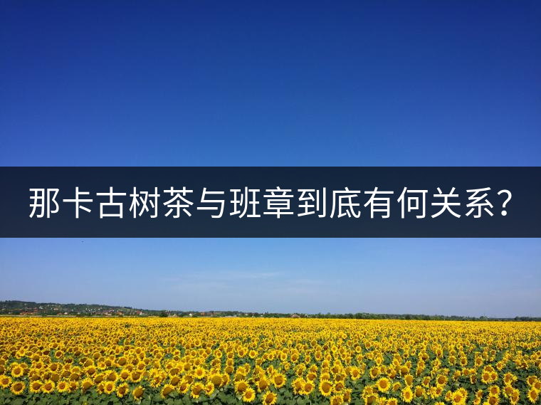 那卡古樹(shù)茶與班章到底有何關(guān)系？