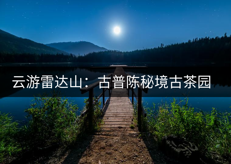 云游雷達(dá)山：古普陳秘境古茶園，品第一杯春鮮