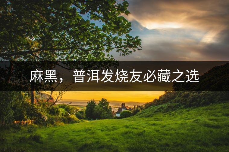 麻黑，普洱發(fā)燒友必藏之選