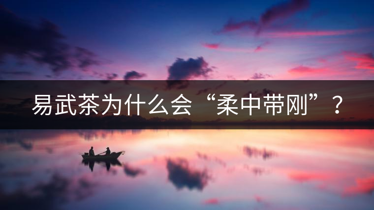 易武茶為什么會“柔中帶剛”？