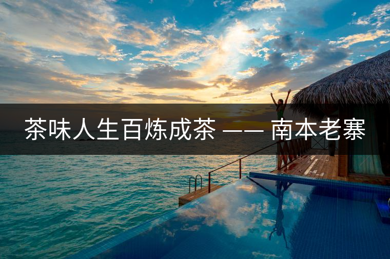 茶味人生百煉成茶 —— 南本老寨