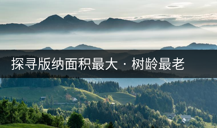 探尋版納面積最大 · 樹齡最老的南糯山多依寨古茶園