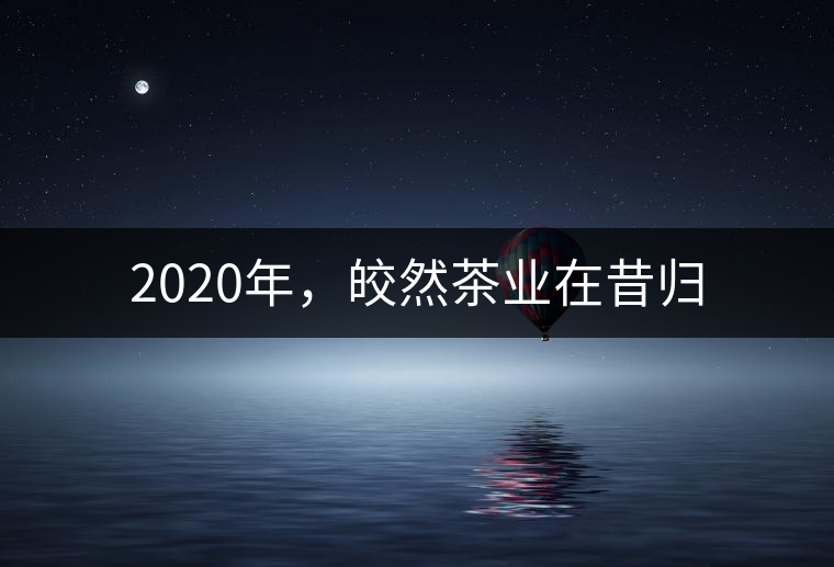 2020年，皎然茶業(yè)在昔歸