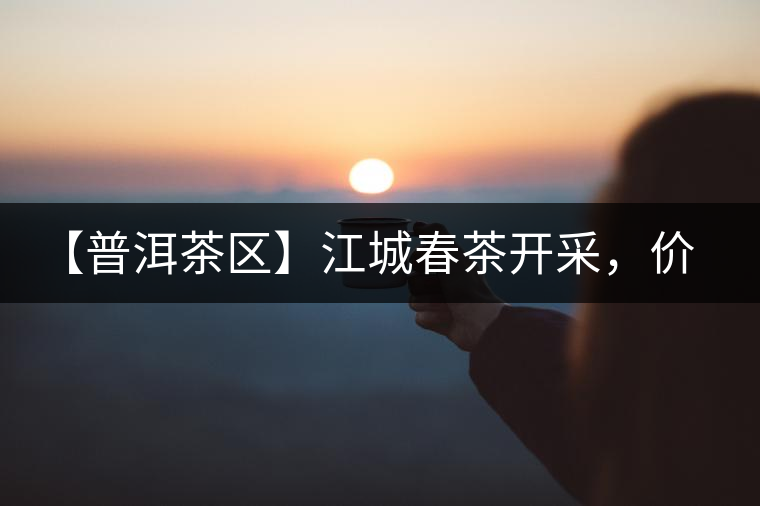 【普洱茶區(qū)】江城春茶開采，價格漲幅小