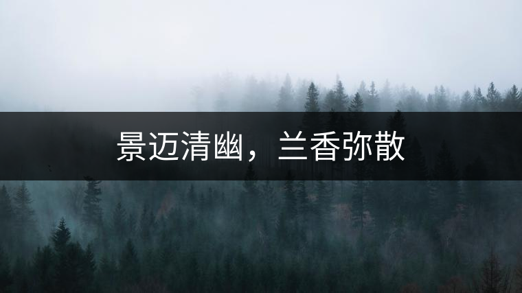 景邁清幽，蘭香彌散