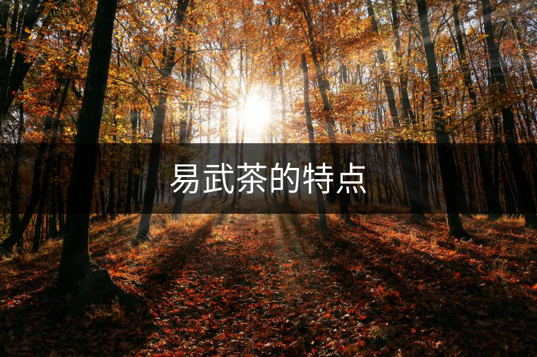 易武茶的特點 易武茶的特點