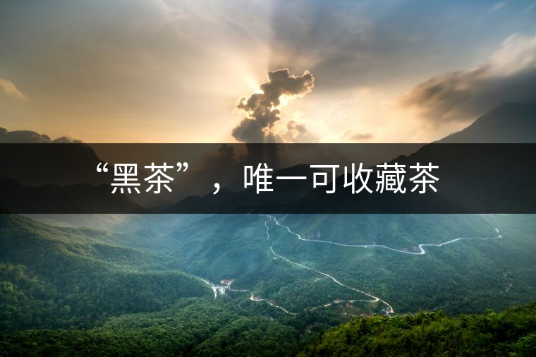 “黑茶”,唯一可收藏茶 “黑茶”,唯一可收藏茶