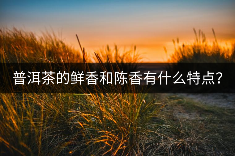 普洱茶的鮮香和陳香有什么特點(diǎn)？