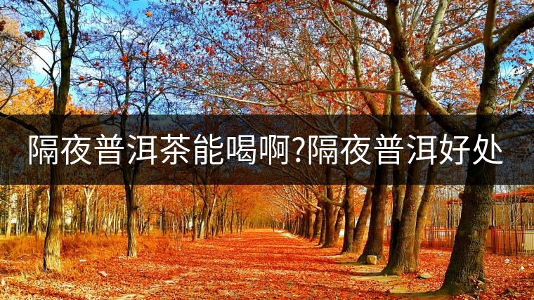 隔夜普洱茶能喝啊?隔夜普洱好處多