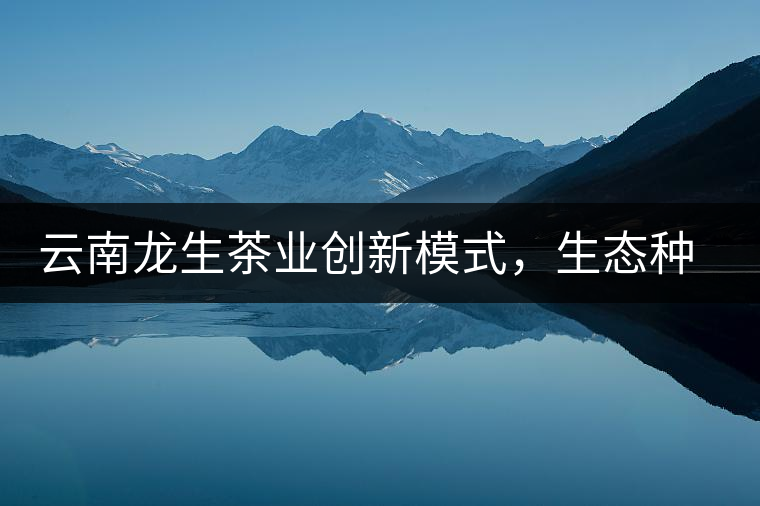 云南龍生茶業(yè)創(chuàng)新模式，生態(tài)種植