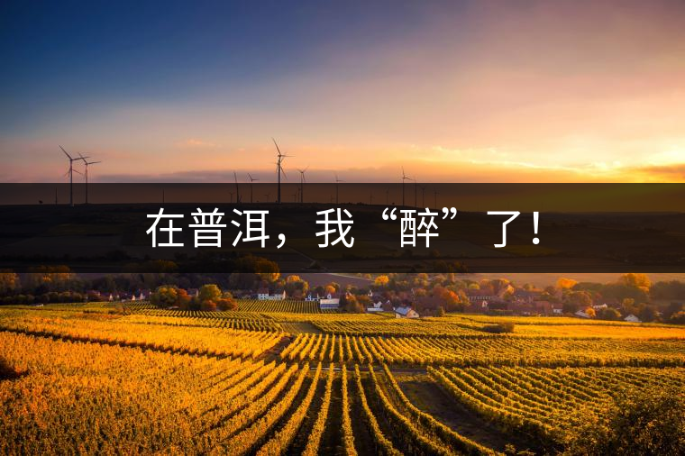 在普洱，我“醉”了！