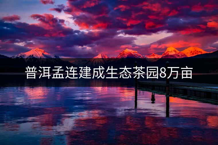 普洱孟連建成生態(tài)茶園8萬畝