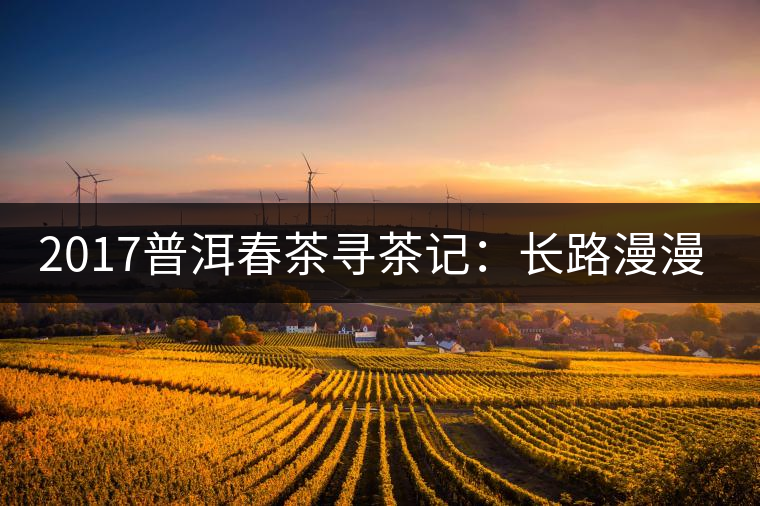 2017普洱春茶尋茶記：長路漫漫老班章