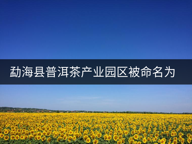 勐海縣普洱茶產(chǎn)業(yè)園區(qū)被命名為 勐??h普洱茶產(chǎn)業(yè)園區(qū)被命名為