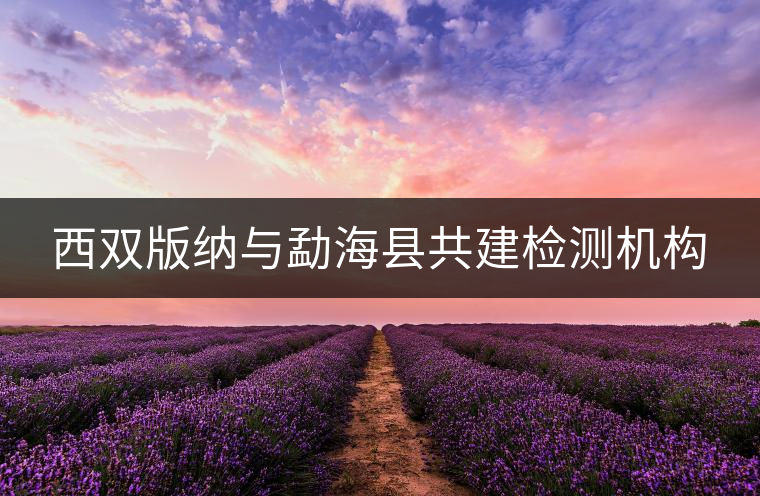 西雙版納與勐?？h共建檢測機構(gòu)