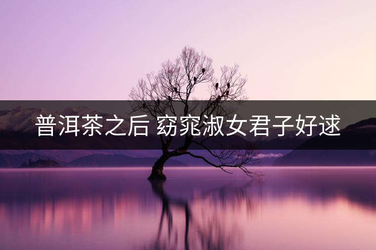 普洱茶之后 窈窕淑女君子好逑