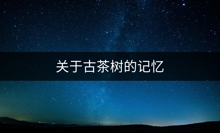 關(guān)于古茶樹的記憶 關(guān)于古茶樹的記憶