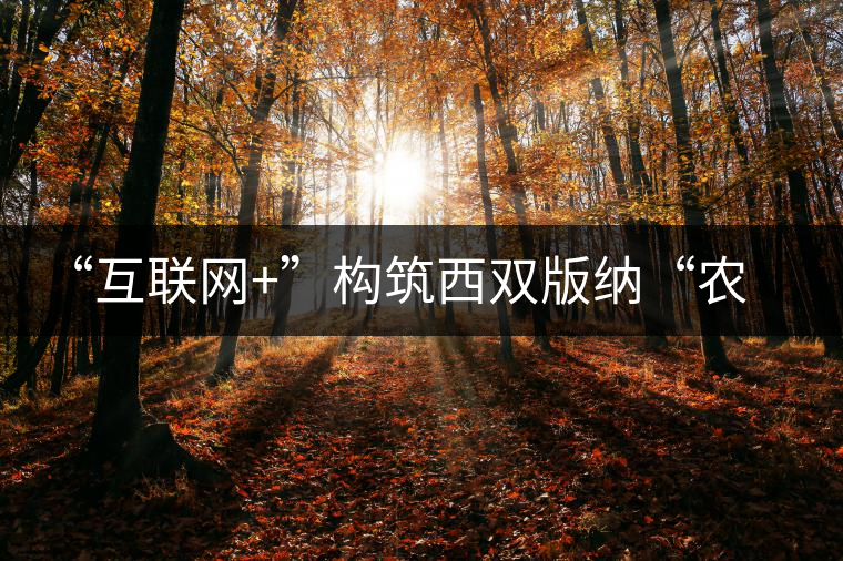 “互聯(lián)網(wǎng)+”構(gòu)筑西雙版納“農(nóng)旅結(jié)合”發(fā)展新模式