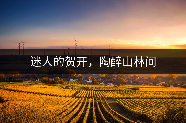 迷人的賀開(kāi)，陶醉山林間