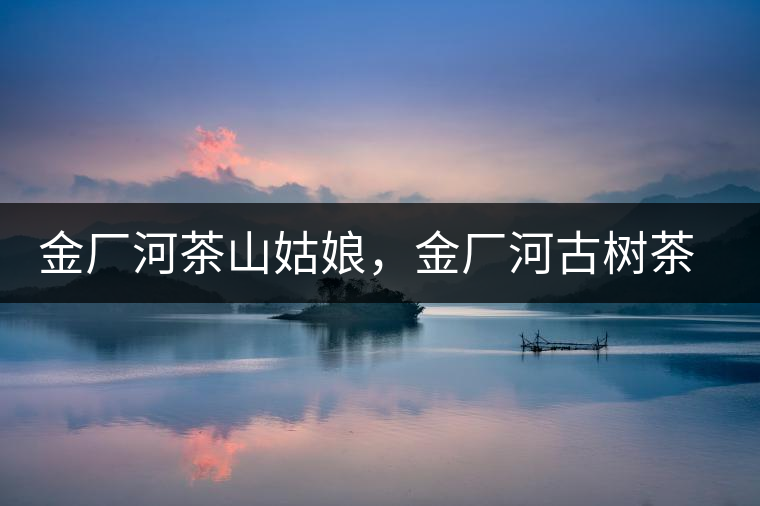 金廠河茶山姑娘，金廠河古樹(shù)茶特點(diǎn)與價(jià)格