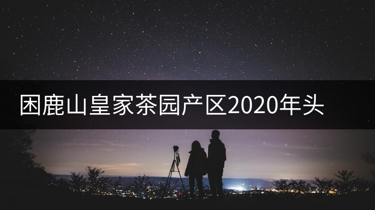 困鹿山皇家茶園產(chǎn)區(qū)2020年頭春古樹，白花林口感特點