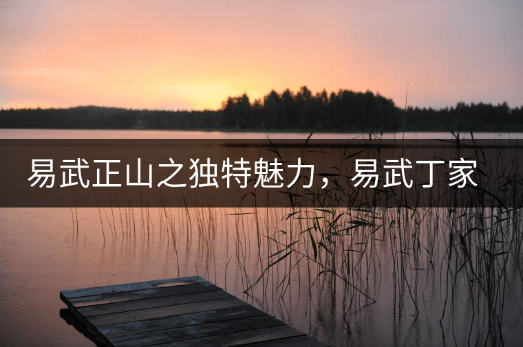 易武正山之獨特魅力，易武丁家寨介紹品鑒