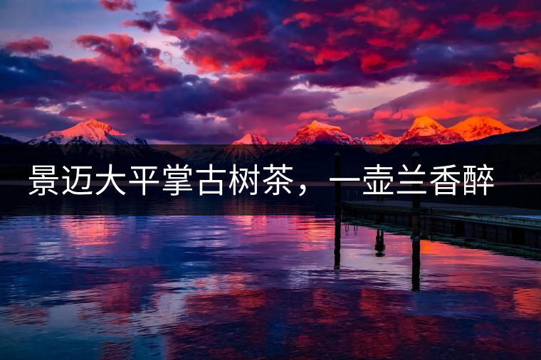 景邁大平掌古樹茶，一壺蘭香醉春秋