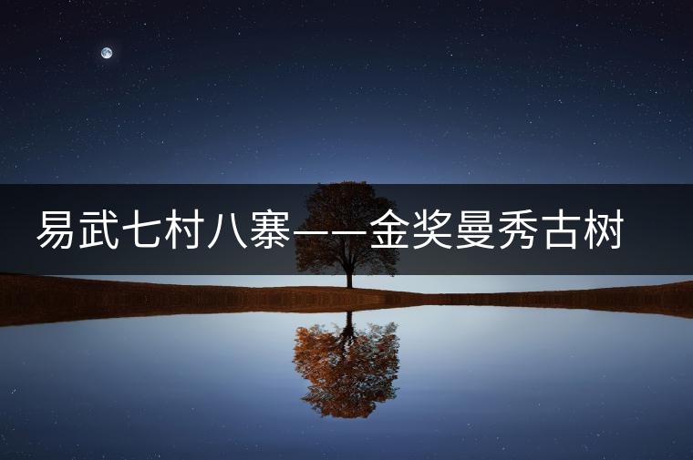 易武七村八寨——金獎(jiǎng)曼秀古樹茶