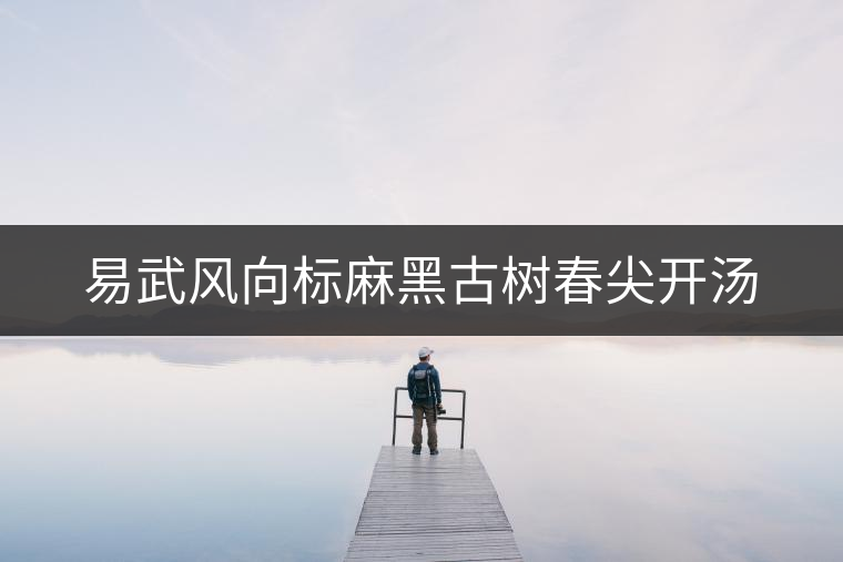 易武風(fēng)向標(biāo)麻黑古樹(shù)春尖開(kāi)湯
