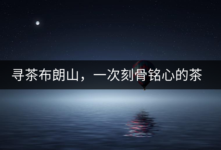 尋茶布朗山，一次刻骨銘心的茶山行