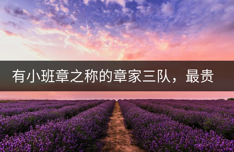 有小班章之稱的章家三隊(duì)，最貴的小樹(shù)茶