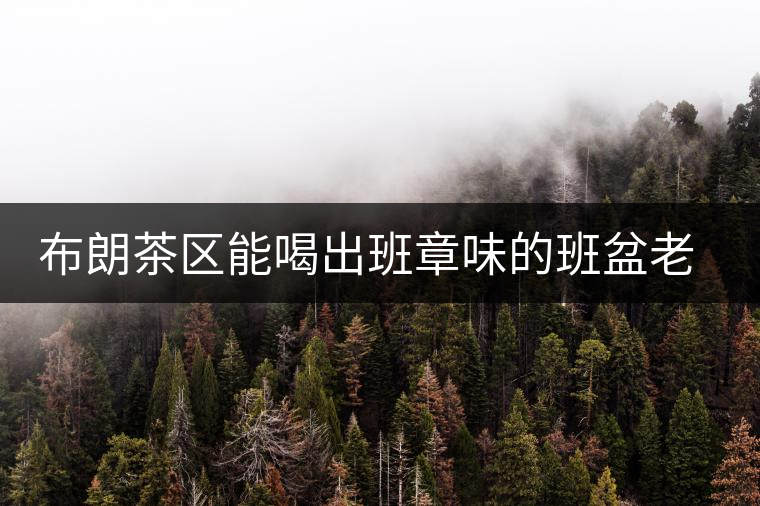 布朗茶區(qū)能喝出班章味的班盆老寨你知道嗎？