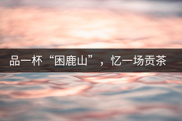 品一杯“困鹿山”，憶一場貢茶情