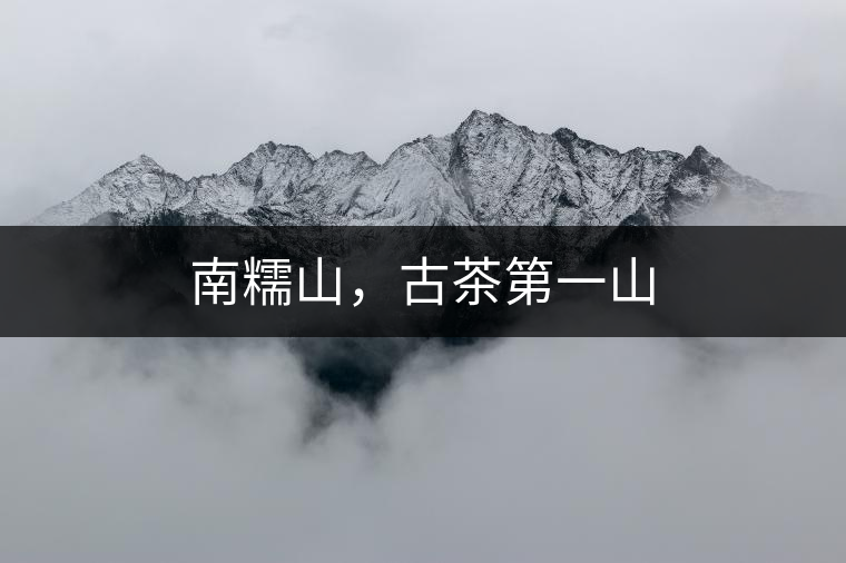 南糯山，古茶第一山