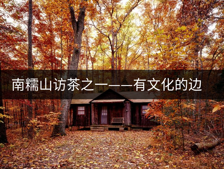 南糯山訪茶之一——有文化的邊二家