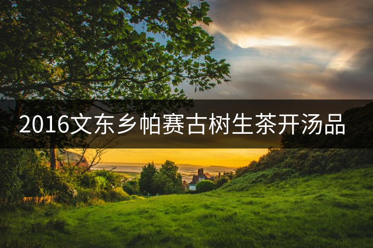 2016文東鄉(xiāng)帕賽古樹生茶開湯品鑒 2016文東鄉(xiāng)帕賽古樹生茶開湯品鑒