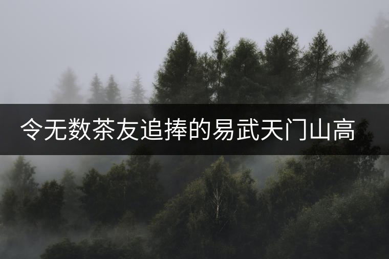 令無數(shù)茶友追捧的易武天門山高桿古樹介紹