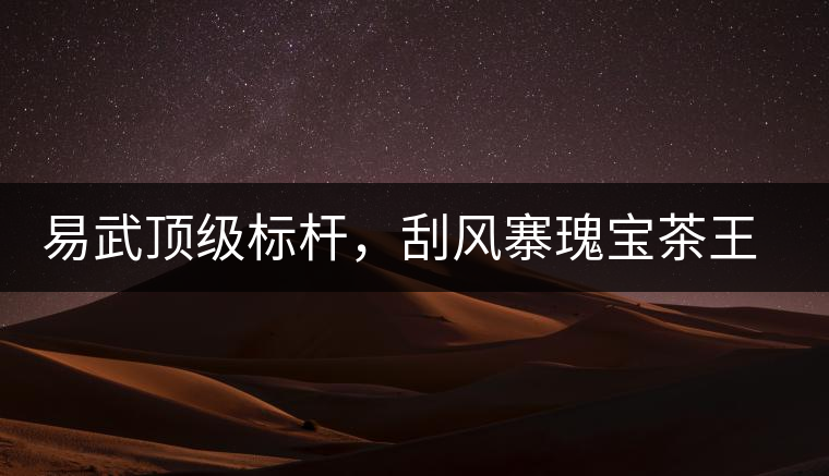 易武頂級標(biāo)桿，刮風(fēng)寨瑰寶茶王樹古樹茶