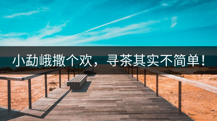 小勐峨撒個(gè)歡，尋茶其實(shí)不簡(jiǎn)單！
